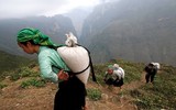 Nét đẹp phụ nữ Việt Nam qua 